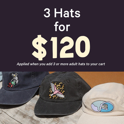 Buy 3 Hats for $120