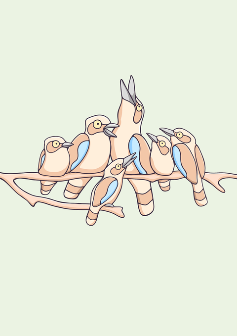 Create Your Own Kookaburra Family Print