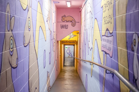 Manly Laneway Mural