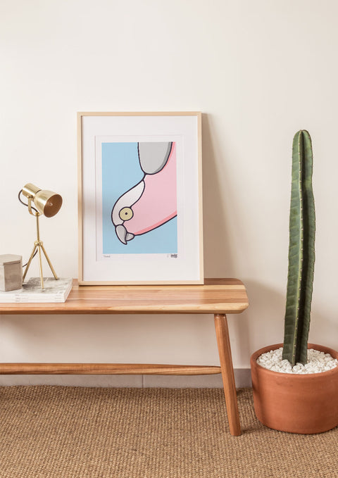 Galah Art Print