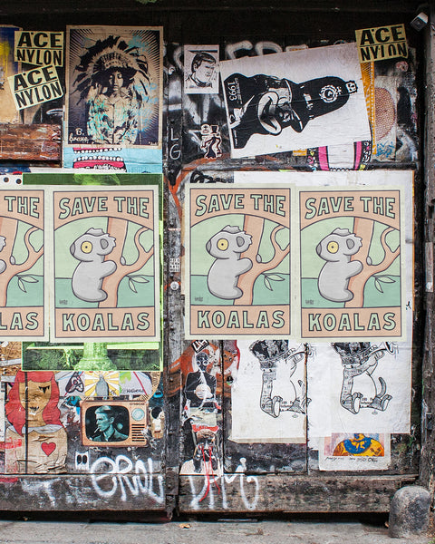 Save The Koalas Poster